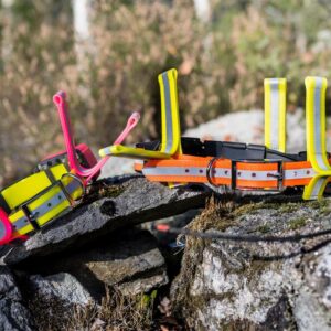 [ih_use_fallback_field(Reflexflärp, Reflexflärp)]